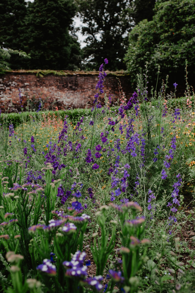 walled garden purple cottage planting